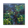 Waterlilies