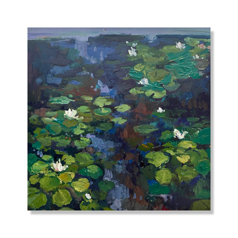 Waterlilies