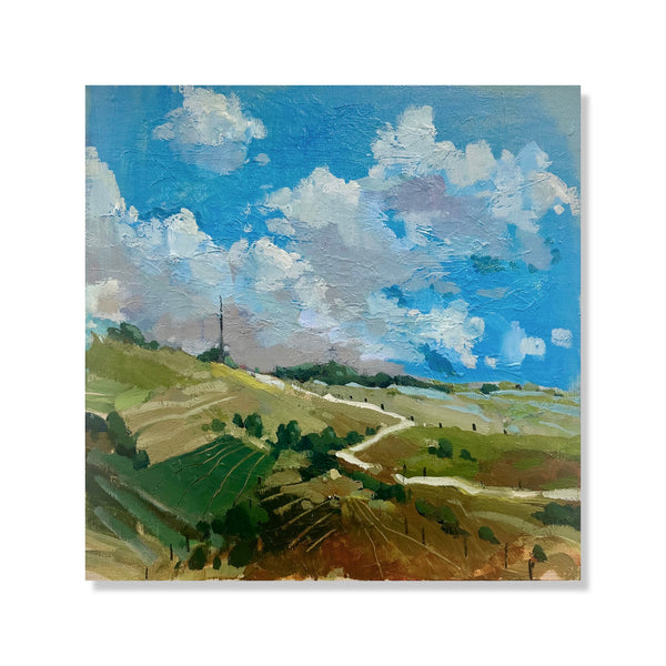 Where the wild winds blow