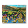 Casale Vitali vineyard