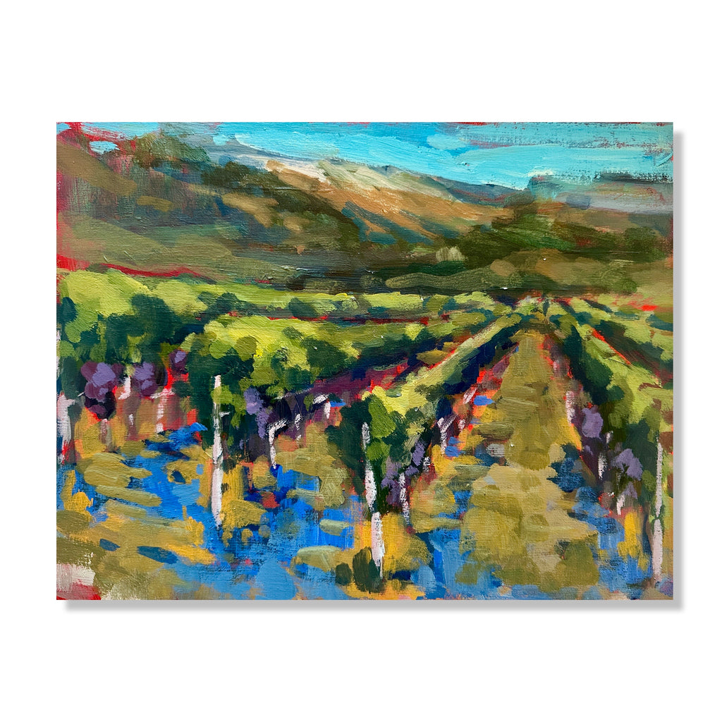 Casale Vitali vineyard
