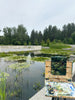 99. Waterlilies