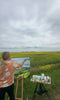 Canola in July