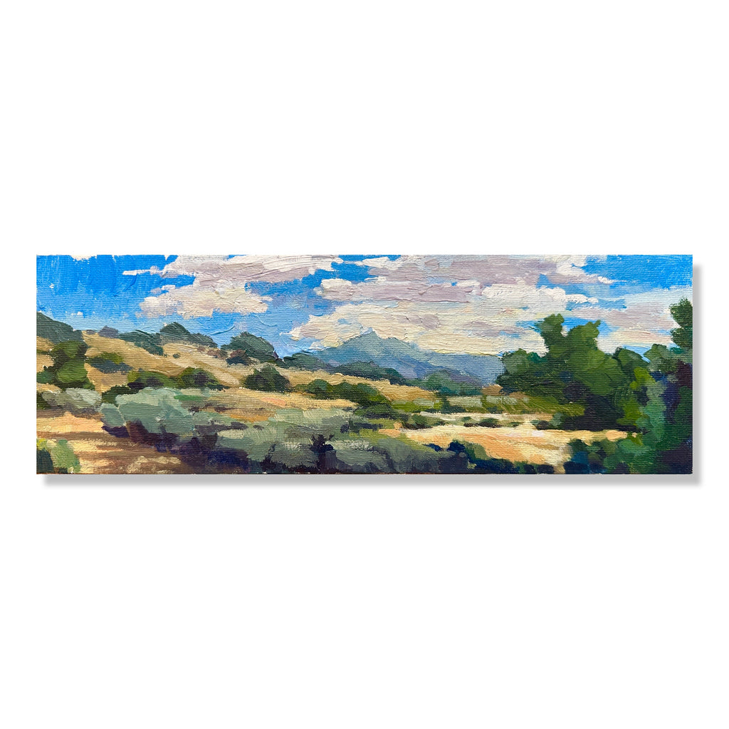 Southern sage