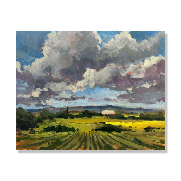 Wheat Field
