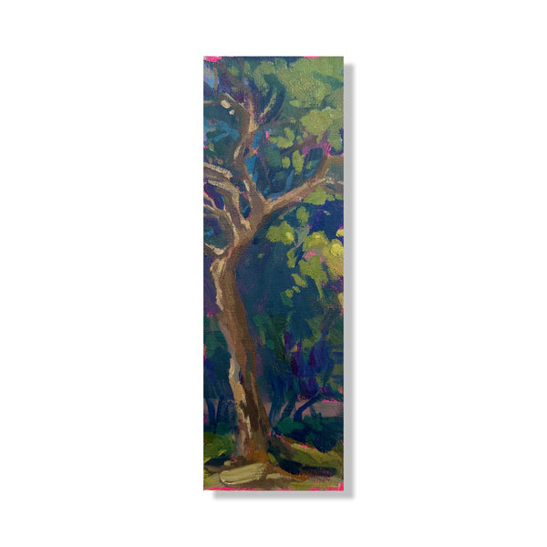 73. Seabuckthorn tree