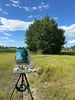 81. Tree Study I