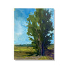 81. Tree Study I