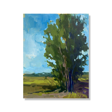 81. Tree Study I