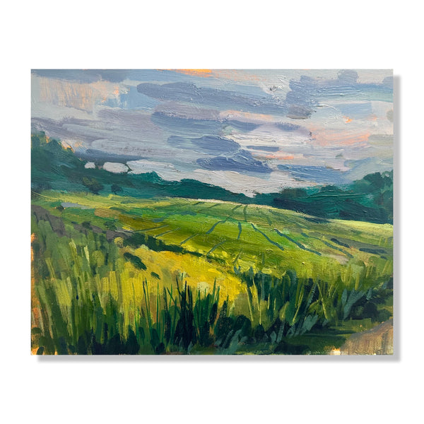 Summer Grasses