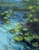 Waterlilies