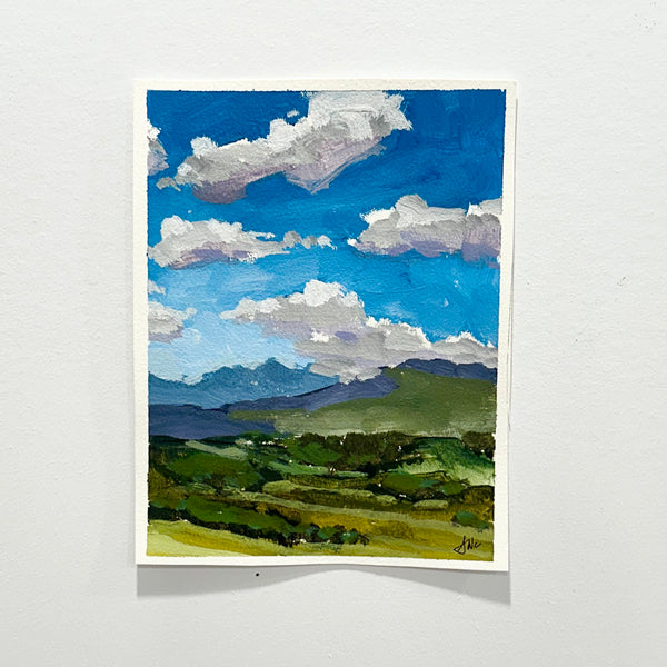 6. Landscape Study