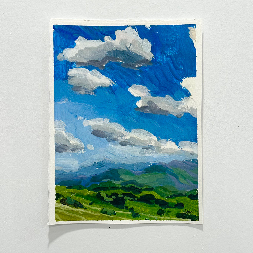 7. Landscape Study