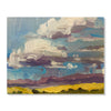 Cloudy View