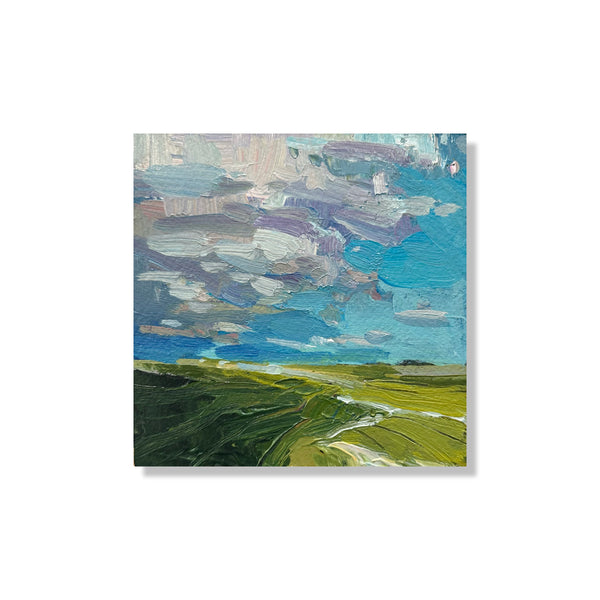 64. Mini Sky Capture I