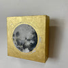The Lunar Collection: 5" x 5" Moon